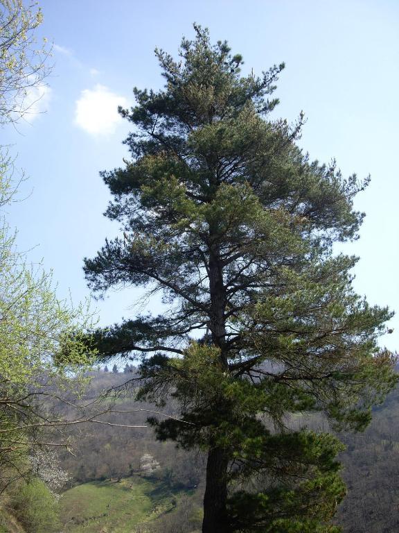 El Cobijo De Villar Mieres  Luaran gambar